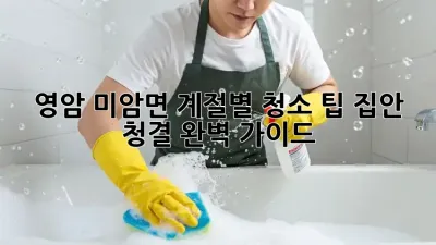 영암 미암면 계절별 청소 팁: 집안 청결 완벽 가이드